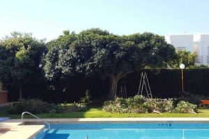 Natxomantenimiento | Turre | Spain Property Management | Jardinería residencia privada | Gardening Private residence